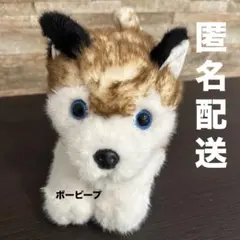 オオカミ　犬　ぬいぐるみ　リアル　ハスキー　プライズ