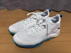 【今週までの最終価格】ミズノ　ウエーブトランジスタ　27cm