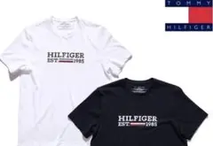 ★夏セール★ラバーロゴ　編み目　トミーヒルフィガー半袖Tシャツ　新品