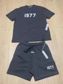 ESSENTIALS 1977 Lサイズ　Tシャツ　ショートパンツセット