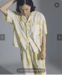 Item thumbnail for item 08c9ffd4-0705-4745-88ac-8e6ffb3da2bf