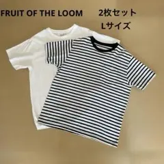 FRUIT OF THE LOOM Tシャツ　2枚セット　L