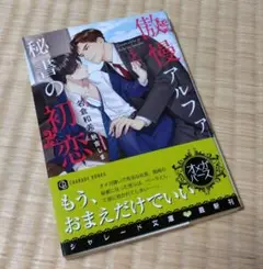 BL小説☆傲慢アルファと秘書の初恋