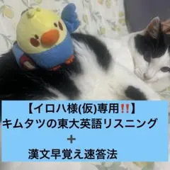 【イロハ様(仮)専用】 キムタツの東大英語リスニング➕漢文早覚え速答法