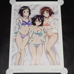 ストライク・ザ・ブラッド 童話Ver. A3ポスター D-8 雪菜 志緒 唯里