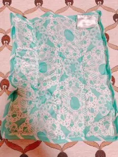 Item thumbnail for item 4187cd4d-240b-4c11-b12a-e965a984a15b