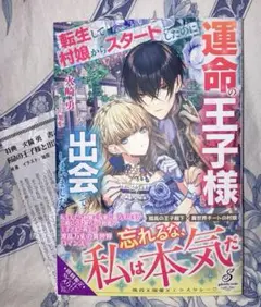 転生して村娘からスタートしたのに運命の王子様と出会ってしまいましたTL
