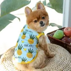 Item thumbnail for item 2972dfe5-e565-4d4e-9f29-c7d25358aaa8