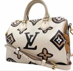 極美品 ルイヴィトン スピーディバンドリエール25 2way M45828 希少