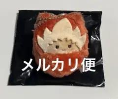 イナズマイレブン くるみたぴぬい vol.1 豪炎寺修也 豪炎寺 イナイレ