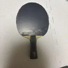 樊振東ALC