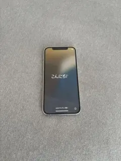 iPhone12pro