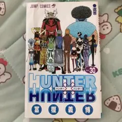 HUNTER×HUNTER 30巻