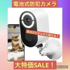 Item thumbnail for item dca38a5c-fe89-4ba4-ba93-88c7c67f2a88