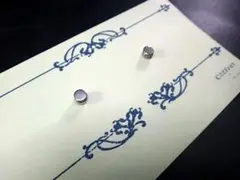 ラウンド プレート (4mm) マグネット イヤリング(ピアス風)