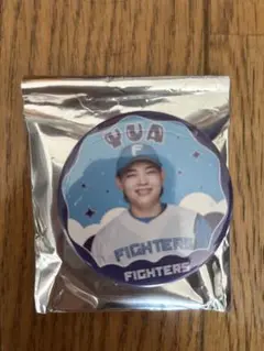 【値下げ】日本ハムファイターズ　田宮裕涼選手 スタンド付きアクリル缶バッジ