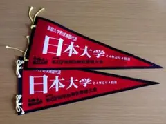 日本大学 第47回明治神宮野球大会　ペナント2枚・校名ボール（ケース付き）