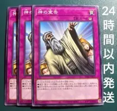 遊戯王　神の宣告　ノーマル　3枚　かみのせんこく