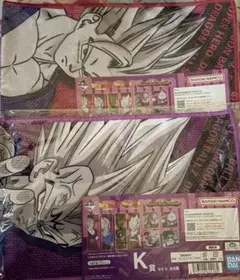 Item thumbnail for item 79fb0fdf-d908-45af-b85e-9d4b16ae3682