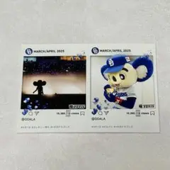 中日ドラゴンズ ドアラ 竜ブロマイド
