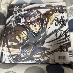 03▢ 鬼滅の刃 遊郭編 幕間画集 など NA0320-3 蛍 神戸 鬼滅の刃 幕間画集 豪華版 遊郭編 鬼滅の刃 氷河