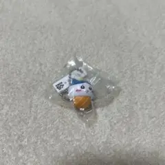 ハチワレくら寿司