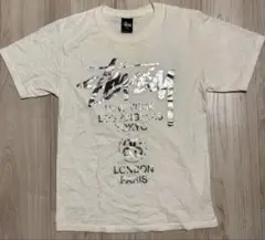 Stussy シルバー ロゴ Tシャツ