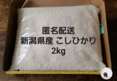 お米 新米 2022年 令和4年 新潟県産 こしひかり 2kg 2キロ 匿名配送