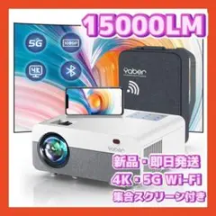 Item thumbnail for item d1011625-afaf-4cba-8d17-a1fd801e8aa0