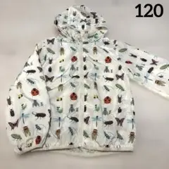 インセクトコレクション　ナイロンパーカー　ウインドブレーカー　120 130