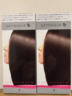 2025年最新】サテニーク白髪染めの人気アイテム - メルカリ