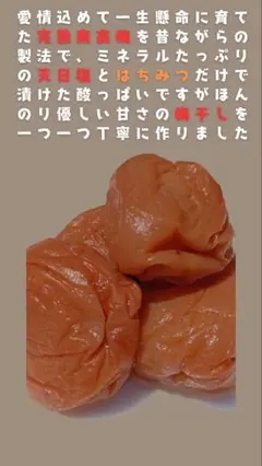 Item thumbnail for item fc1f87e4-81ca-47b6-a6bb-7541a3d62179