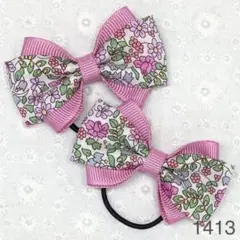 Item thumbnail for item dc471ace-5513-46f5-a22d-d17d6a30f091