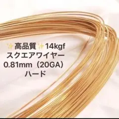 再値下げ　14kgf 0.81mm スクエアワイヤー ハード　50cm