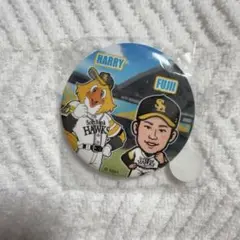 #48藤井皓哉 グッズ