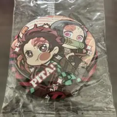 鬼滅の刃　炭治郎とねずこ缶バッジ