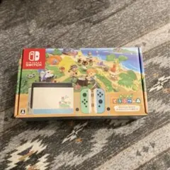TPUカバー付きNintendo Switch あつまれ どうぶつの森セット