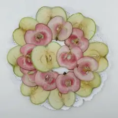 押しフルーツ♡NO401