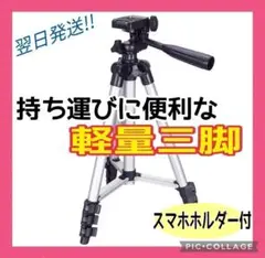 Item thumbnail for item 45617190-d16f-48f2-931b-7f7c548cfc7c