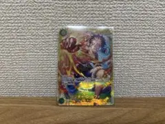 受け継がれる意志 ルフィシークレット