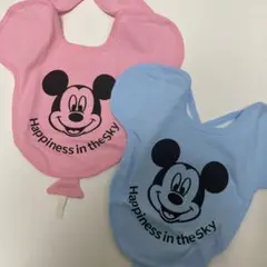 ディズニーリゾート スタイ2枚セット
