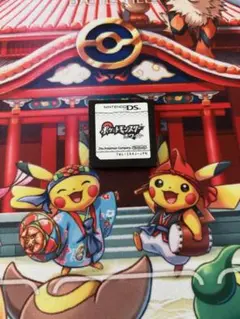 ポケットモンスター ホワイト　DS ソフト　データ有　箱無