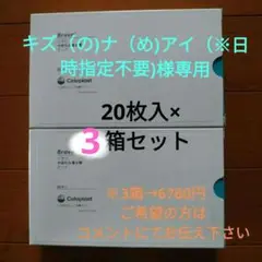 Item thumbnail for item 2c5a1114-072a-42c5-9ab6-94a1c06e1999