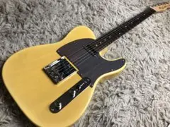 参考音色あり bacchus テレキャス ローズウッドピックガード