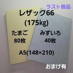 レザック66(175㎏)たまご80枚、みずいろ40枚、A5 人気カラーセット販売