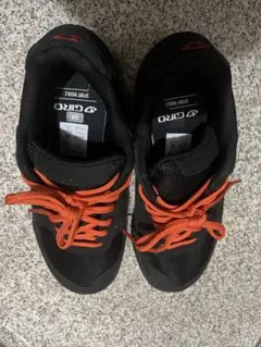 Item thumbnail for item 660886f0-d291-493b-a647-bffcb1875ad2