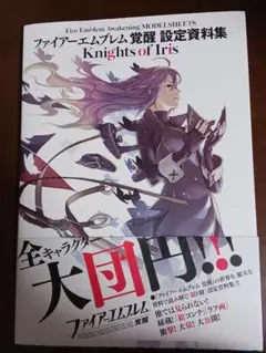 2025年最新】ファイアーエムブレム 覚醒 攻略本の人気アイテム