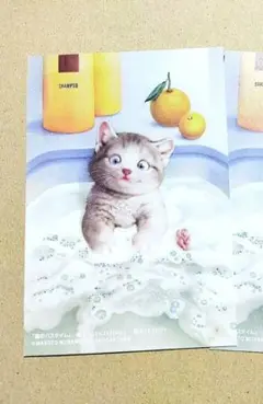 (むらまつまこと)さん パズル画　猫 Amazon.co.jp: 村松誠 MAKOTO MURAMATSU アビッド リーダー 動物