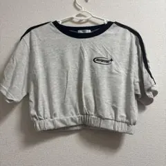 INGNI グレー クロップドTシャツ Mサイズ