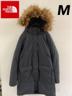【レア商品】【美品】ノースフェイス マクマード ダウンパーカ